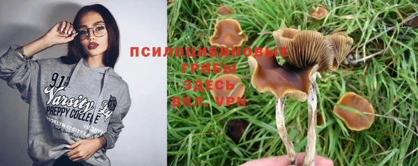 ALPHA-PVP Куйбышев