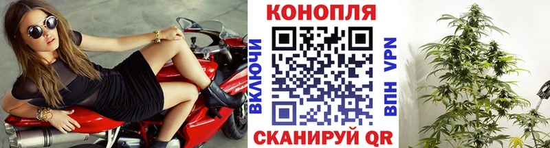 Каннабис марихуана  Купить закладки  Ирбит 